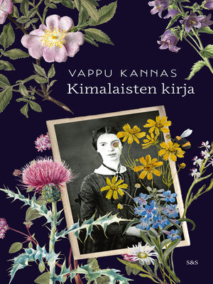 cover image of Kimalaisten kirja